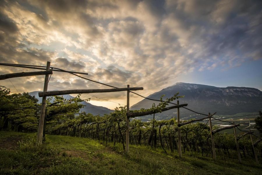Exkluzív vacsorák a Gourmet-n - STYLENEWS - Rendezvények - fesztivál 2019, gourmet fesztivál, séfek, 