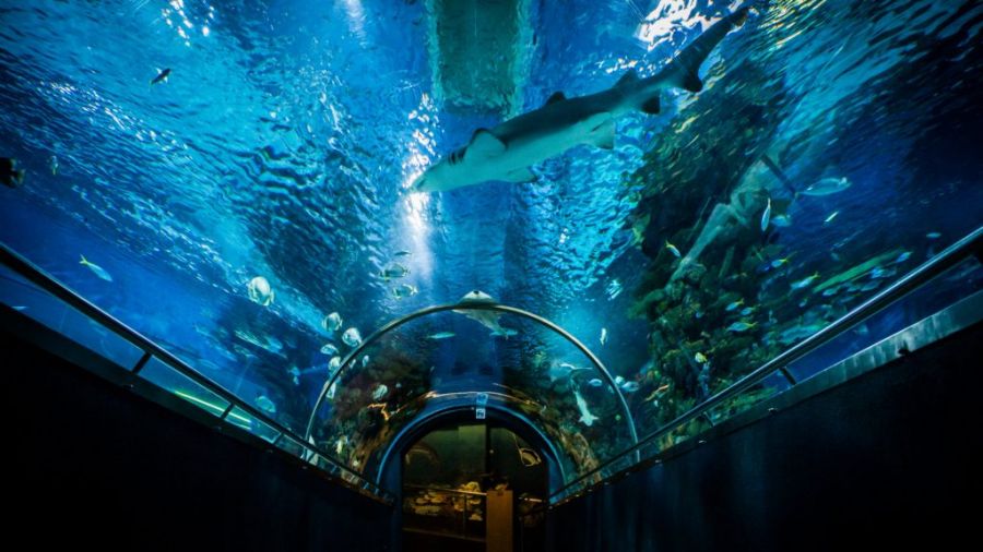 4 családi program ötlet őszre - STYLELIFE - Style family - család, ősz, programok, tropicarium,