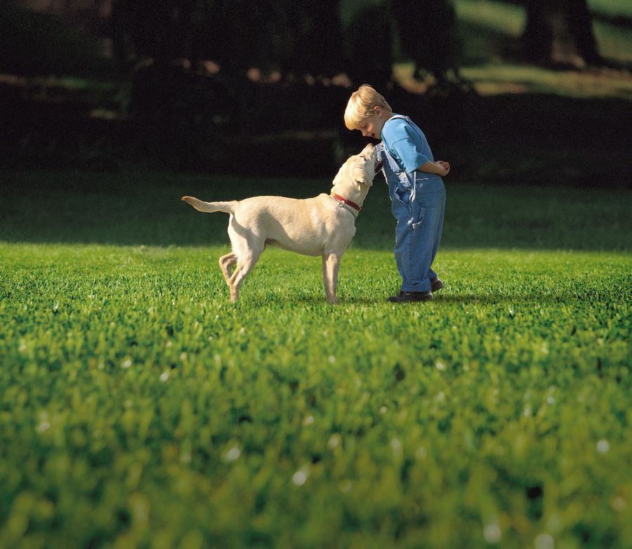 A tökéletes kert titka - Amikor a mű jobb, mint az igazi - STYLELIFE - Otthon & Design - fű, kert, kertészkedés, műfű, namgrass, 