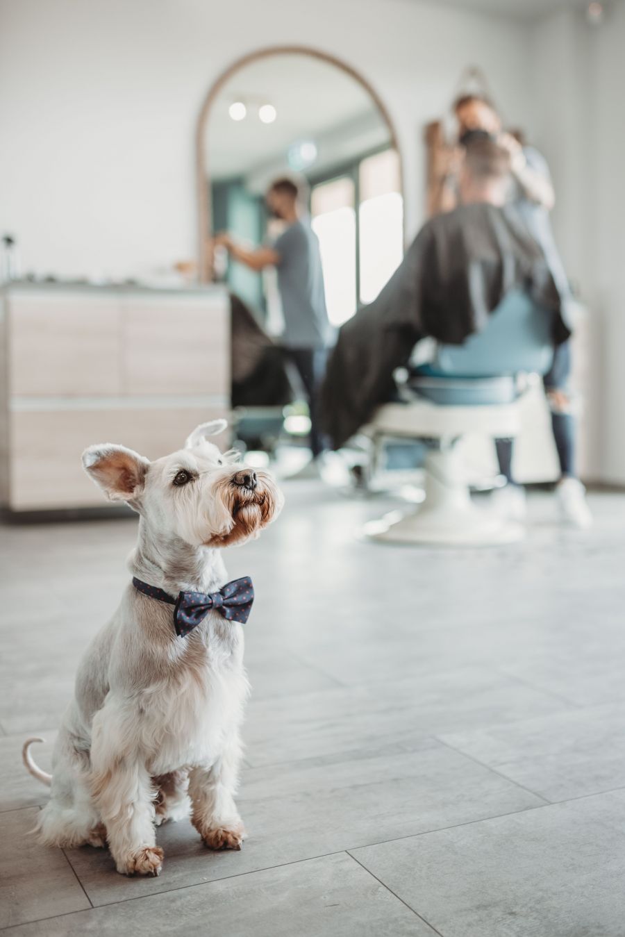 Borbély a kikötőben - Barber Bay Budapest - SZÉPSÉG - Hajápolás  - barber, barber bay, budapest, marina part, 