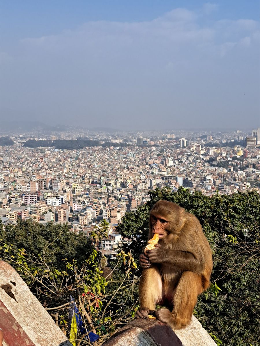 'A nyolcezres hegyek között elgondolkozol, hogy milyen jelentéktelen vagy' - Útinapló Nepálból - STYLENEWS - Interjúk - dósa péter, hegymászás, himalája, nepál, nepál utazás, 